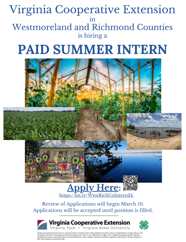 Virginia Cooperative Extension Summer Internship Opportunity