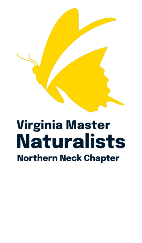 Northern Neck Master Naturalist 